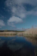 Beautiful Ukrainian Landscape – Puzhaikove Nature with River and Pond