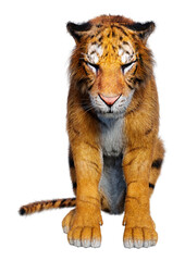 3D Rendering Big Cat Tiger on White