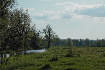 Beautiful Ukrainian Landscape – Puzhaikove Nature with River and Pond