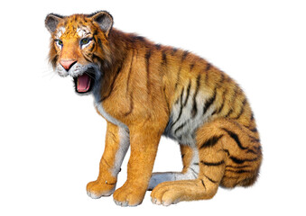 3D Rendering Big Cat Tiger on White