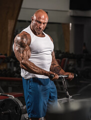 Big Bodybuilder Working Out at the Gym, Lifting Weights