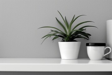 Minimalistyczna kompozycja: roślina doniczkowa, kubek i pojemnik na minimalistycznym blacie