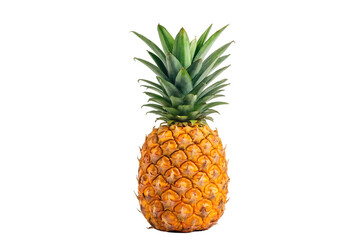 Whole Ripe Pineapple with Spiky Crown – Tropical Super fruit illustration on white