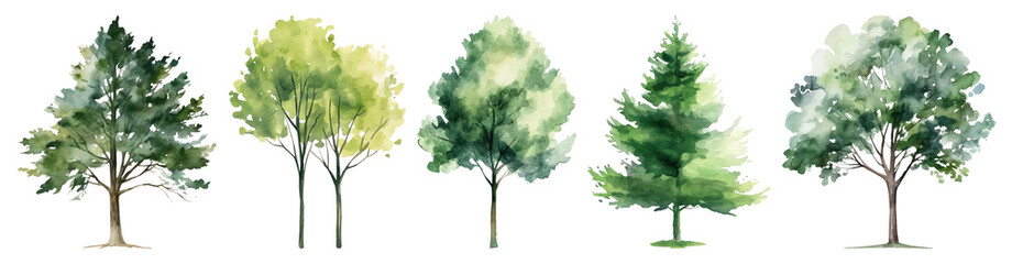PNG Watercolor trees nature art, element set on transparent background