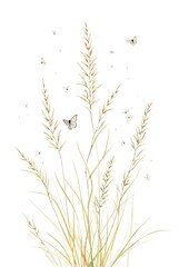 Fototapeta premium Wheat in summer