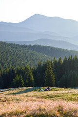Tourist camp in a sunny meadow against the backdrop of mountains with a tall spruce forest.