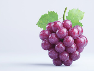 Fototapeta premium Fresh and ripe bunch of purple grapes with green leaves on a light background.