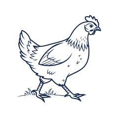 vector illustration of a chicken