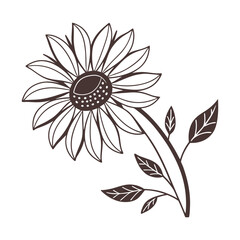 black and white flower sunflower icon flat vector design
