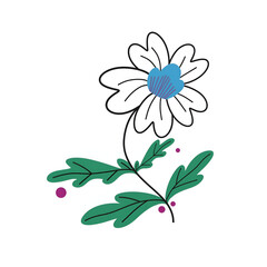 vector illustration of home flowers, background elements, brand elements, greeting card elements, wedding decoration.