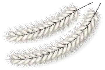 Obraz premium A single fluffy white bird feather with delicate illustration and soft design