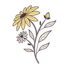 vector floral background sunflower icon flat vector design