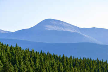 Mount Howerla and the green tops of a dense spruce forest.