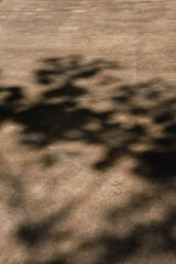 Abstract patterns of dappled leaf shadows falling on a rough, textured concrete surface. Diffused sunlight creates a serene play of light and shade, highlighting the ground's texture.