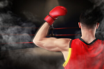 Boxer surrounded by smoke rising hand like winner in ring. Sporting event