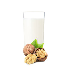 Nut milk in glass and walnuts isolated on white