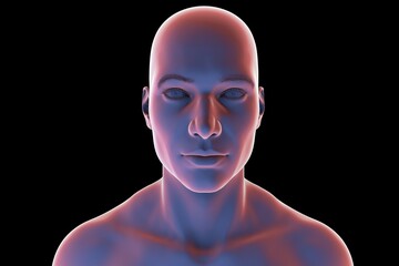 Man's head and neck in silhouette, front view, 3D illustration showing anatomical outline and structural features on a black background.