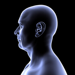 Man's head and neck in silhouette, side view, 3D illustration showing anatomical outline and structural features on a black background.