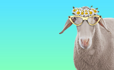 Adorable sheep with sunglasses and flower wreath against turquoise gradient background. Banner design with space for text