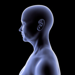 Woman's head and neck in silhouette, side view, 3D illustration showing anatomical contours and profile structure on black background.