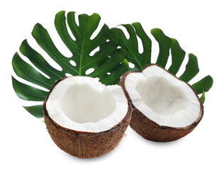 Fresh coconut and green tropical monstera leaves isolated on white