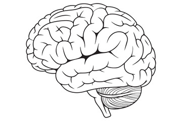 Brain silhouette icon simple vector illustration