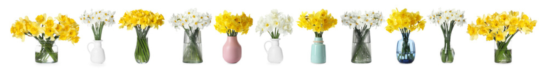 Beautiful daffodils in vases isolated on white, set