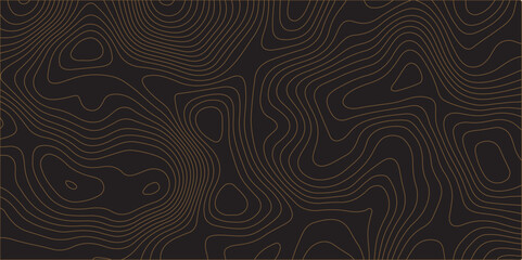 Luxury gold abstract line art background vector.geographic mountain relief. retro topographic map. geographic contour map paper texture. terrain path isolated on a background. Vector. Illustration.