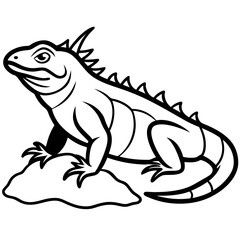 Volcano Iguana line art vector