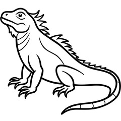 Volcano Iguana line art vector