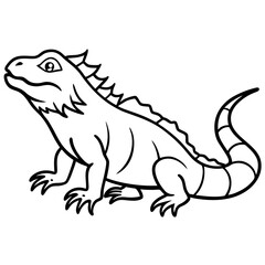 Volcano Iguana line art vector