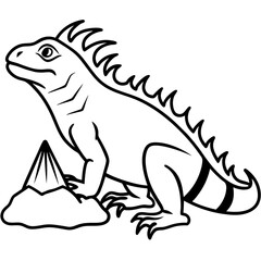 Volcano Iguana line art vector