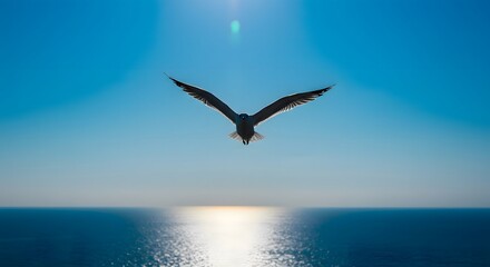 Fototapeta premium Seagull flying over the ocean with wings spread wide at sunrise under a clear blue sky