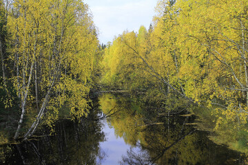 Minor rivers of the north-east of Europe. The Virma River flows into the Onega Bay of the White...