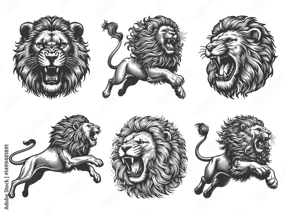 Poster roaring lion set collection bundle sketch engraving generative ai vector illustration. scratch board