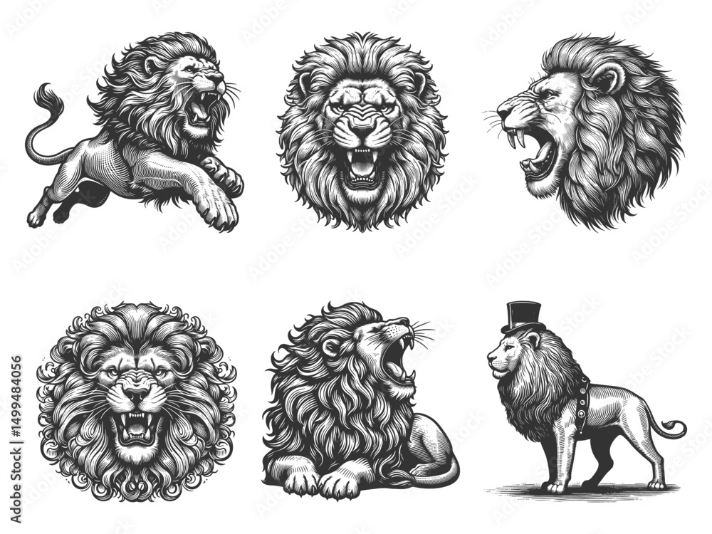 Poster roaring lion set collection bundle sketch engraving generative ai vector illustration. scratch board