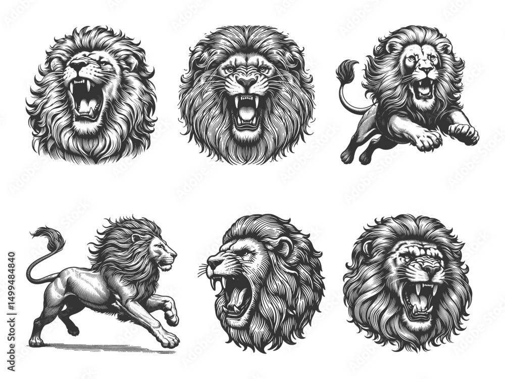 Poster roaring lion set collection bundle sketch engraving generative ai vector illustration. scratch board