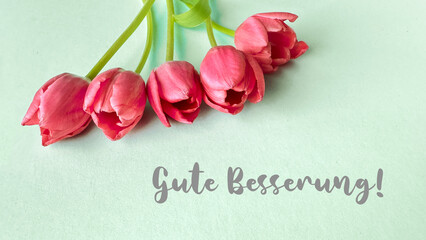 Pink tulips on a light green background with text 