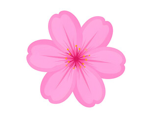 Pink blossom flower graphic