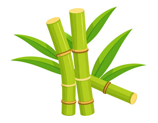 Obraz premium Sugarcane stalks with leaves (1)