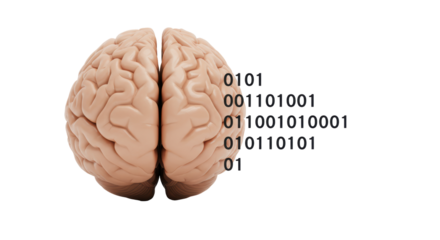 Isolated Brain with Binary Code Overlay