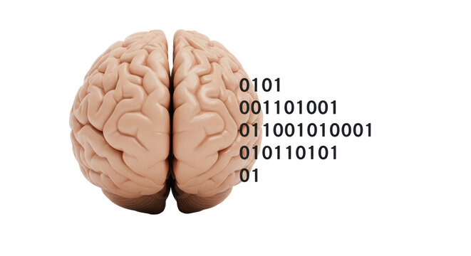 Isolated Brain with Binary Code Overlay