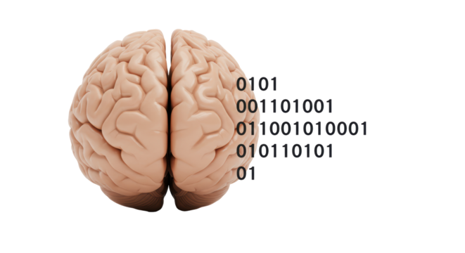 Isolated Brain with Binary Code Overlay