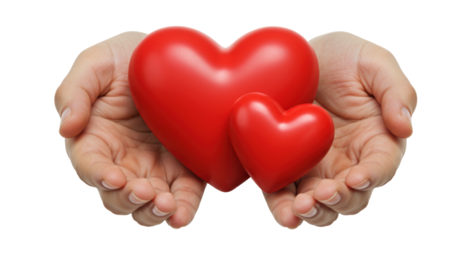Isolated Pair of Hands Holding Red Heart Symbols