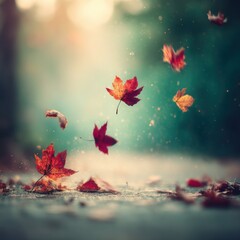 Autumn leaves falling on path in park with bokeh effect and dreamy atmosphere in nature setting; soft focus and shallow depth of field