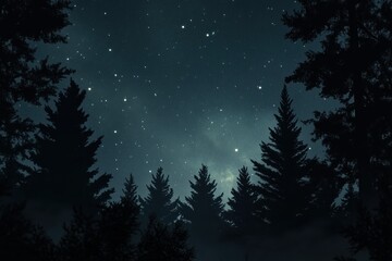 Starry Night Forest Scene