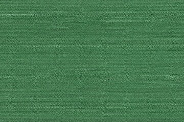 Fototapeta premium Seamless textured green Dense Biflex fabric, showcasing a woven pattern. The fabric appears soft and durable, ideal for upholstery or fashion design.