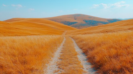 Fototapeta premium Golden Path Through Rolling Hills: A Tranquil Rural Landscape Retreat