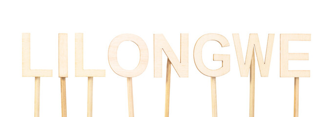 Lilongwe, capital of Malawi, illustrated with wooden typography on a white flat style base