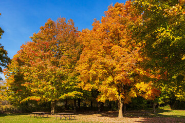 Bronte Creek Provincial Park Picnic area during the autumn, Ontario, Canada